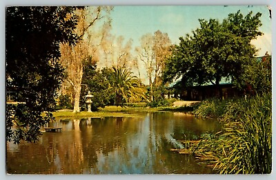 #ad Postcard c.1967 Garden Center Chamber of Commerce in Foreground Sarasota Florida $4.45