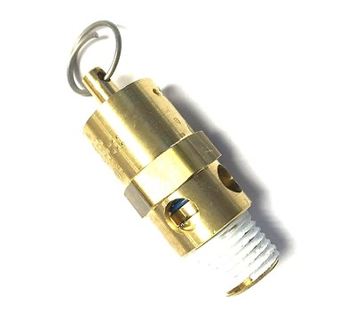 #ad CC1009750 CHAMPION REPLACEMENT SAFETY VALVE 75 PSI 1 4#x27;#x27; MPT R15 R30 PUMPS $16.61