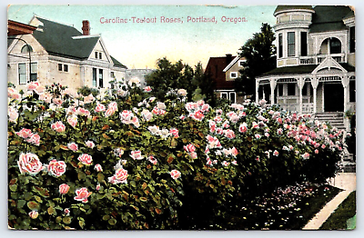 #ad Portland Oregon Caroline Testout Roses Houses Antique Vintage 1909 Post Card $3.99
