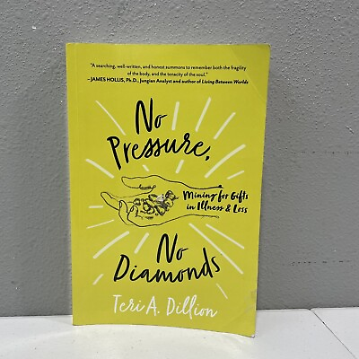 #ad No Pressure No Diamonds: Mining for Gifts in Illness and Loss $10.99