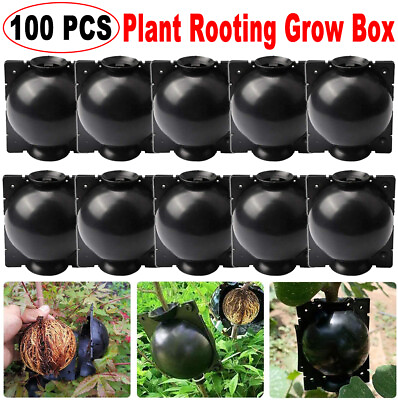 #ad 100Pcs Garden Grow Device Propagation Ball Plant Grafting Root High Pressure Box $65.25