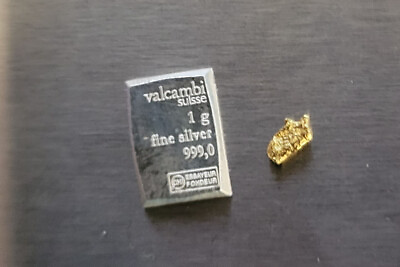 1 gram Valcambi Silver amp; Alaskan Gold Nuggets #ad $10.95