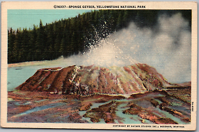#ad #ad Yellowstone Wyoming WY Sponge Geyser Park Volcano USA Linen Vintage Postcard UP $3.86
