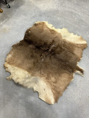 #ad Vintage Tanned deer hide hair on Crafts rug 36“x30“ very good condition $95.00