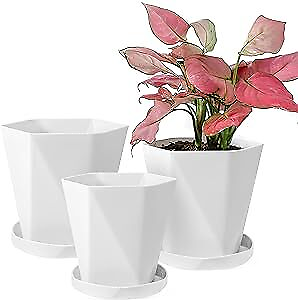 #ad Sun E Planters for Indoor Plants Flower Pots 7.6 6.5 5.1Inch Set of Pearl White $30.36