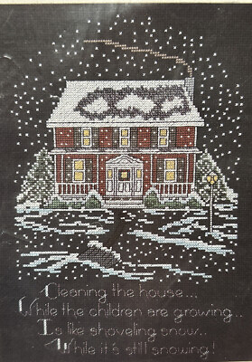 #ad #ad VTG Janlynn Cleaning The House Counted Cross Stitch Kit Family Time Priorities $24.99