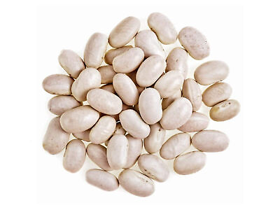 Organic Great Northern Beans – Dried Non GMO Kosher Raw Sproutable Bulk $14.99