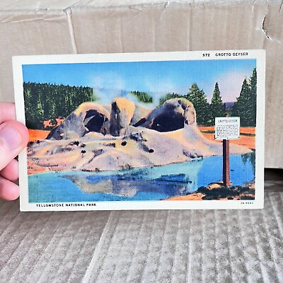 #ad #ad Grotto Geyser Yellowstone National Park Vintage Postcard $4.00