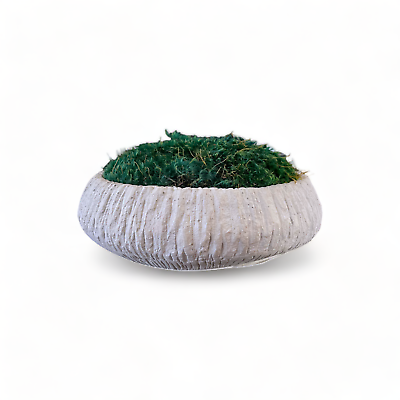 #ad #ad Moss Bowl 10quot; Centerpiece Concrete Decor Bowl and Preserved Moss Stone $119.95