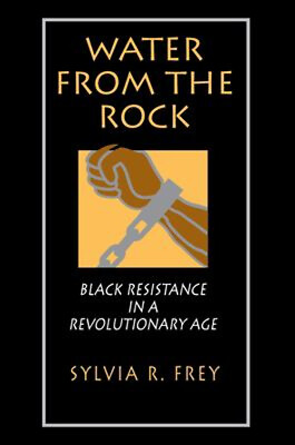 #ad #ad Water from the Rock : Black Resistance in a Revolutionary Age Syl $8.98