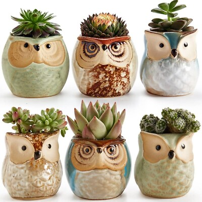 #ad SUN E Owl Pot Ceramic Flowing Glaze Base Serial Set Succulent Plant Pot Ca.. $20.87