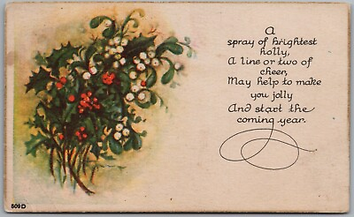 #ad A Spray Of Brightest Holly 1924 Christmas Postcard D545 $4.99