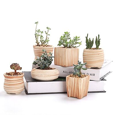 #ad Sun E 3 Inch Ceramic Wooden Pattern Succulent Plant Pot Cactus Plant Pot Flow... $36.43