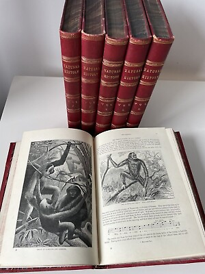 #ad Cassells Popular Natural History Vols I to VI EUR 195.00