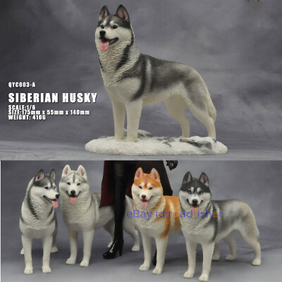 #ad OUT THERE FOREVER 1 6 Siberian Husky Model Animal Dog Collector Decor Painted $70.50