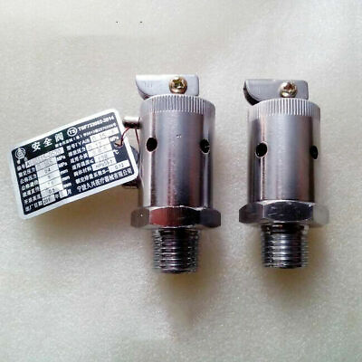 Portable pressure steam sterilizer safety valve 18 24L autoclave accessories $31.49
