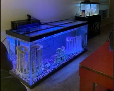 #ad #ad 50 gallon aquarium fish tank $260.00