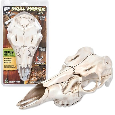 #ad Mountain Mikes Reproductions European Deer Skull Master Single Kit Medium Size $65.99