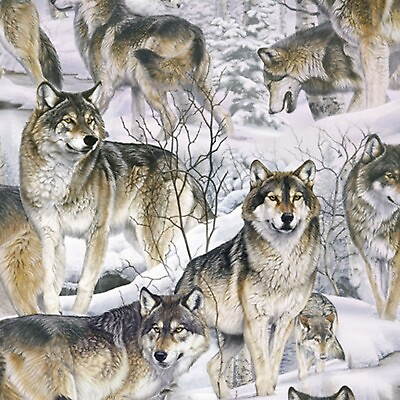 #ad Fabric Wild Wolves Wolf in Snow on Cotton DTEXTILES 1 4 yard 2076 $1.99
