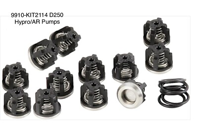 #ad 9910 kit2114 D250 Valve Kit Hypro AR Pumps $250.00