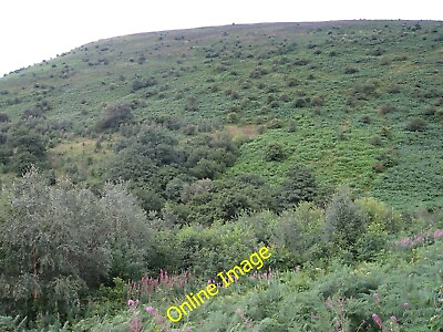 #ad Photo 12x8 Cwm Bwchel Llanthony A reduction in grazing pressure has led to c2010 GBP 6.00