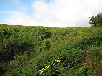 #ad Photo 12x8 Head of Cwm Bwchel Llanthony Grazing pressure has been reduced c2010 GBP 6.00