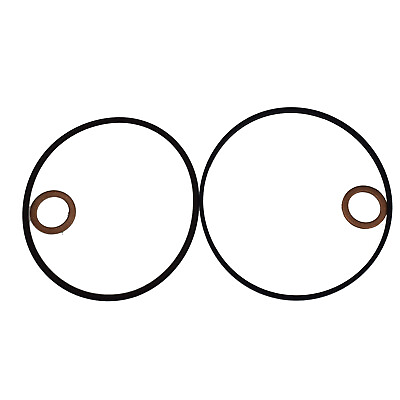 #ad Single Vanos Seal Repair Kit amp; Oil Pipe Washers For BMW Z3 X5 X3 525i 528i 530i $16.48