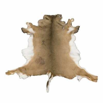 #ad Deerskin Hair On Hide Full Deer Hide Soft Rug Pelt $145.80
