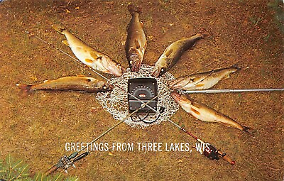 THREE LAKES Wisconsin WI Oneida County Postcard Walleye Fishing Catching Fish #ad #ad $11.95