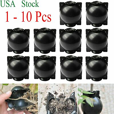 #ad Plant High Pressure Box Graft Grafting Rooting Growing Device Propagation Ball $10.99