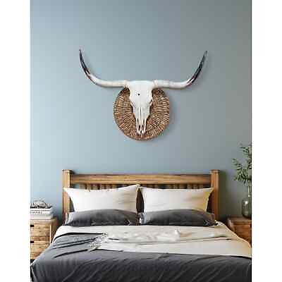 #ad Longhorn Cow Skull Euro Mount Taxidermy Western Boho Rustic Western Decor 511 $690.00