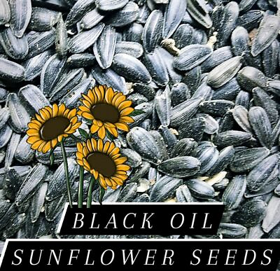 #ad Black OIL SUNFLOWER Seeds Chickens Parrots Wild Birds*Choose Your Size* $13.99