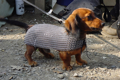 #ad Medieval Armor For Dogs Chain mail Armor For Dogs and Pets Perfect Gift $96.91