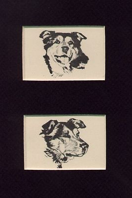 #ad Siberian Husky quot;Head Setquot; CUSTOM MATTED Vintage Dog Print 1932 D. Thorne $17.95