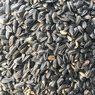 #ad Black Oil Sunflower Seeds Bird Feed $12.88