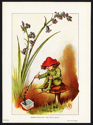 #ad #ad Antique Print SPRING CLEANING THE BLUEBELLS MUSHROOM 1878 $34.50