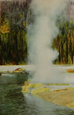 #ad Cliff Geyser And Firehole River Yellowstone National Park WY Vintage Postcard $6.41