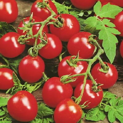 #ad #ad Husky Cherry Red Tomato 20 Seeds $2.29