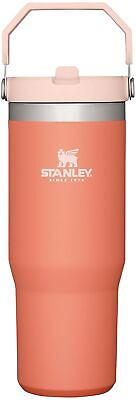 #ad STANLEY IceFlow Stainless Steel Tumbler with Straw Vacuum Insulated Water Bo... $45.00