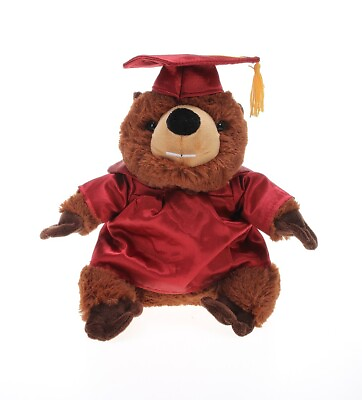 #ad Plushland Personalized Beaver Plush Stuffed Animal Toys Gifts for Graduation Day $22.99