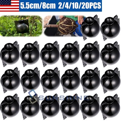 #ad Plant High Pressure Box Graft Rooting Growing Device Propagation Grafting Ball $8.65