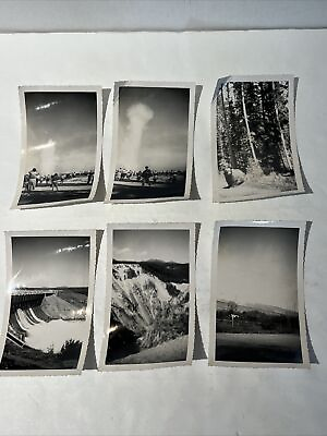 #ad Vintage Black And White Photos Lot Yellowstone Geysers Bear 3x5 Lot Of 6 $16.80
