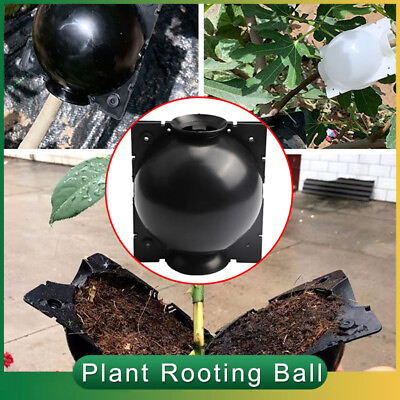 #ad Plant High Pressure Box Graft Grafting Rooting Growing Device Propagation Ball $10.33
