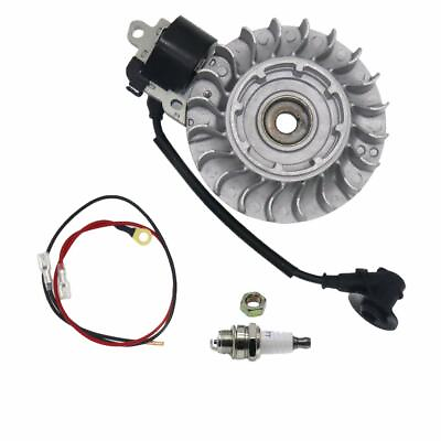 #ad Flywheel with NGK Plug Coil For Stihl MS660 066 Chainsaw # 1122 400 1217 $33.99
