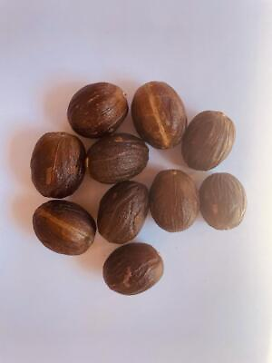 #ad Nutmeg with shell whole Grade A Quality CEYLON Free Shipping $3.00