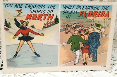 #ad Postcard Vintage Comical Florida Advertising 40s North Cold Horse Race Skating $9.99