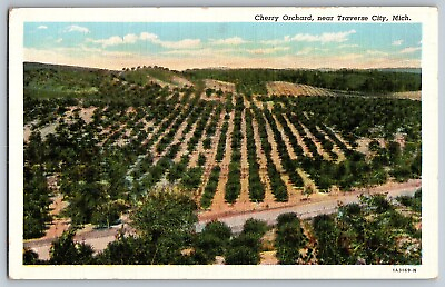 #ad Traverse City Michigan MI Air View of Cherry Orchard Farm Vintage Postcard $4.58