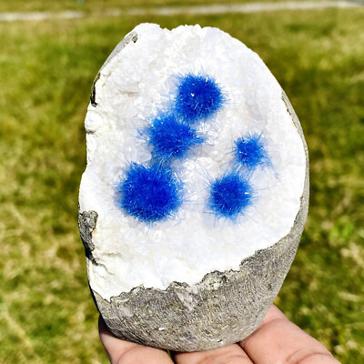 #ad 383g Rare blue sun needle and quartzite symbiotic mineral specimen $158.00