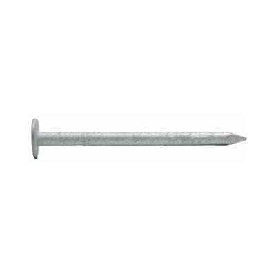 #ad Maze Nails Aluminum Siding Nails Smooth Shank 2 In. 1 Lb. $23.99