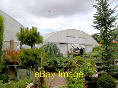 #ad Photo 6x4 Plants of Special Interest PSI garden centre. Maltby SK5292 c2007 GBP 2.00